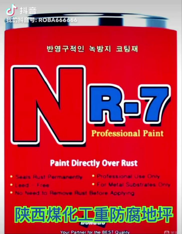 NR-7氟硅防腐涂料（單組分）