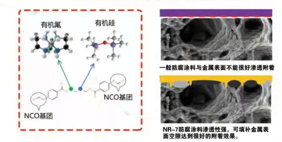 NR-7SY氟硅防腐涂料（專利產品）（單組分）